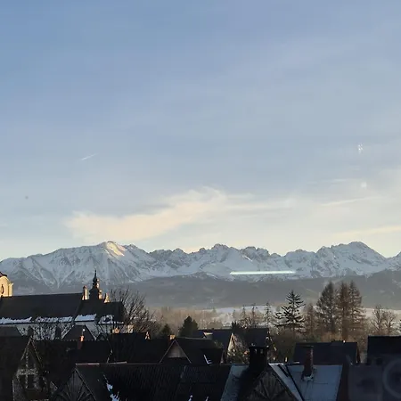 61 דירה פורונין