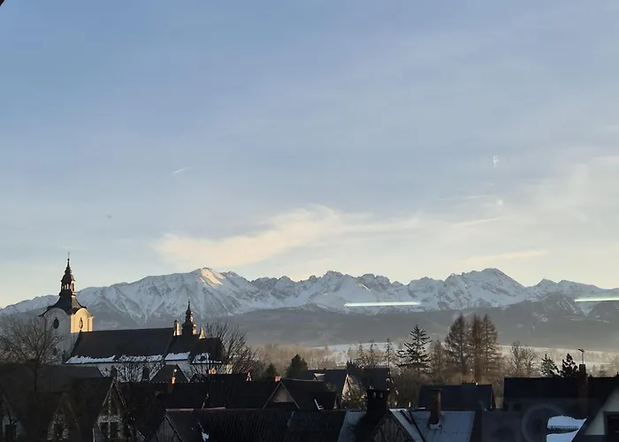 61 דירה פורונין